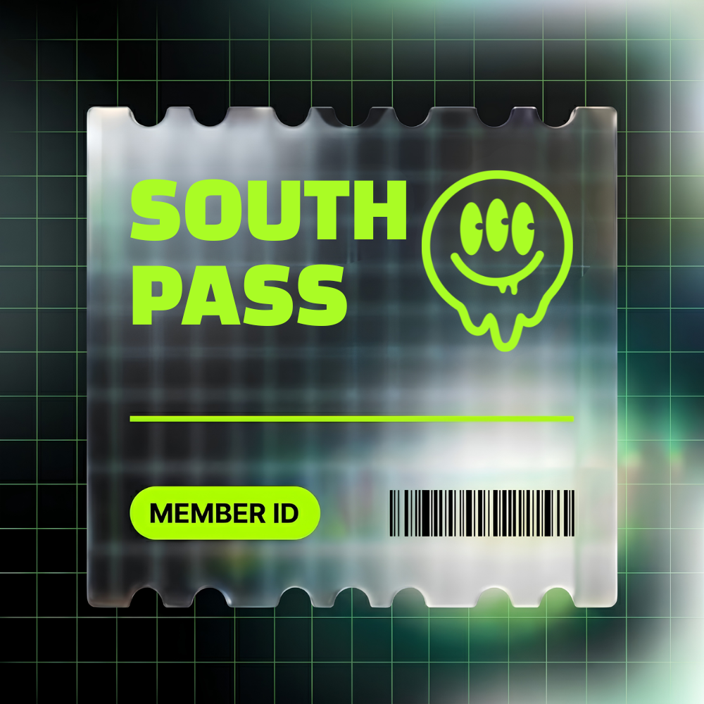 Málaga Pass artwork