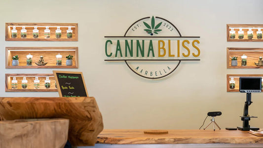 Marbella's Hidden Gem: Cannabliss Villa's Elevated Experience