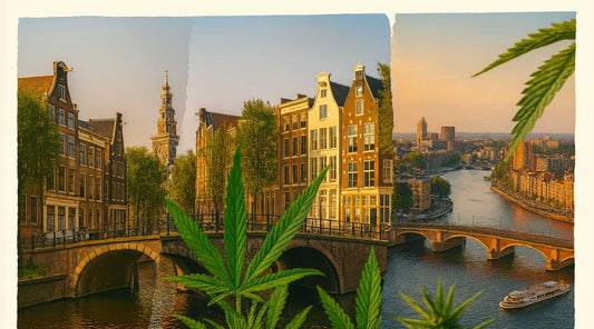 🌿 Cannabis Tourism in Amsterdam: A New Era with the Zazapass Amsterdam Pass